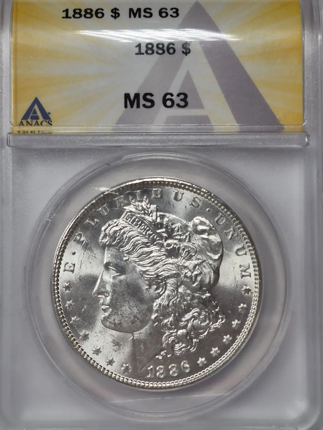 1886-$1-Morgan-Dollar-#36---TPG-24-Of-40